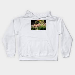 Bees On Sedum (Stonecrop) Flowers In The Garden Kids Hoodie